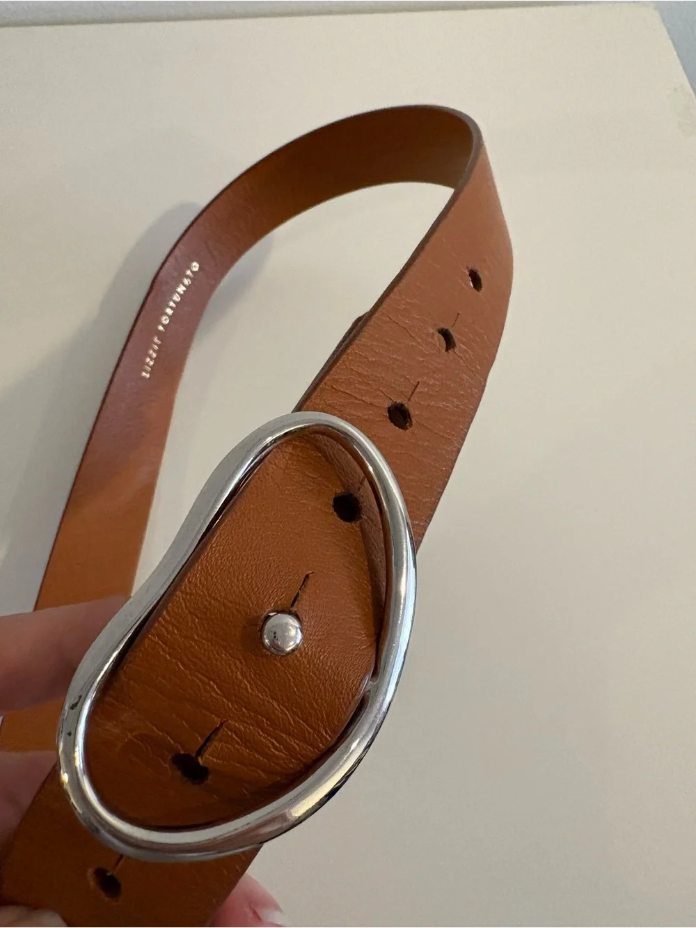 Lizzie Fortunato || Wide Georgia Belt in Tan Silver Tone Buckle